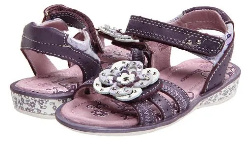 Beeko Rachel Purple