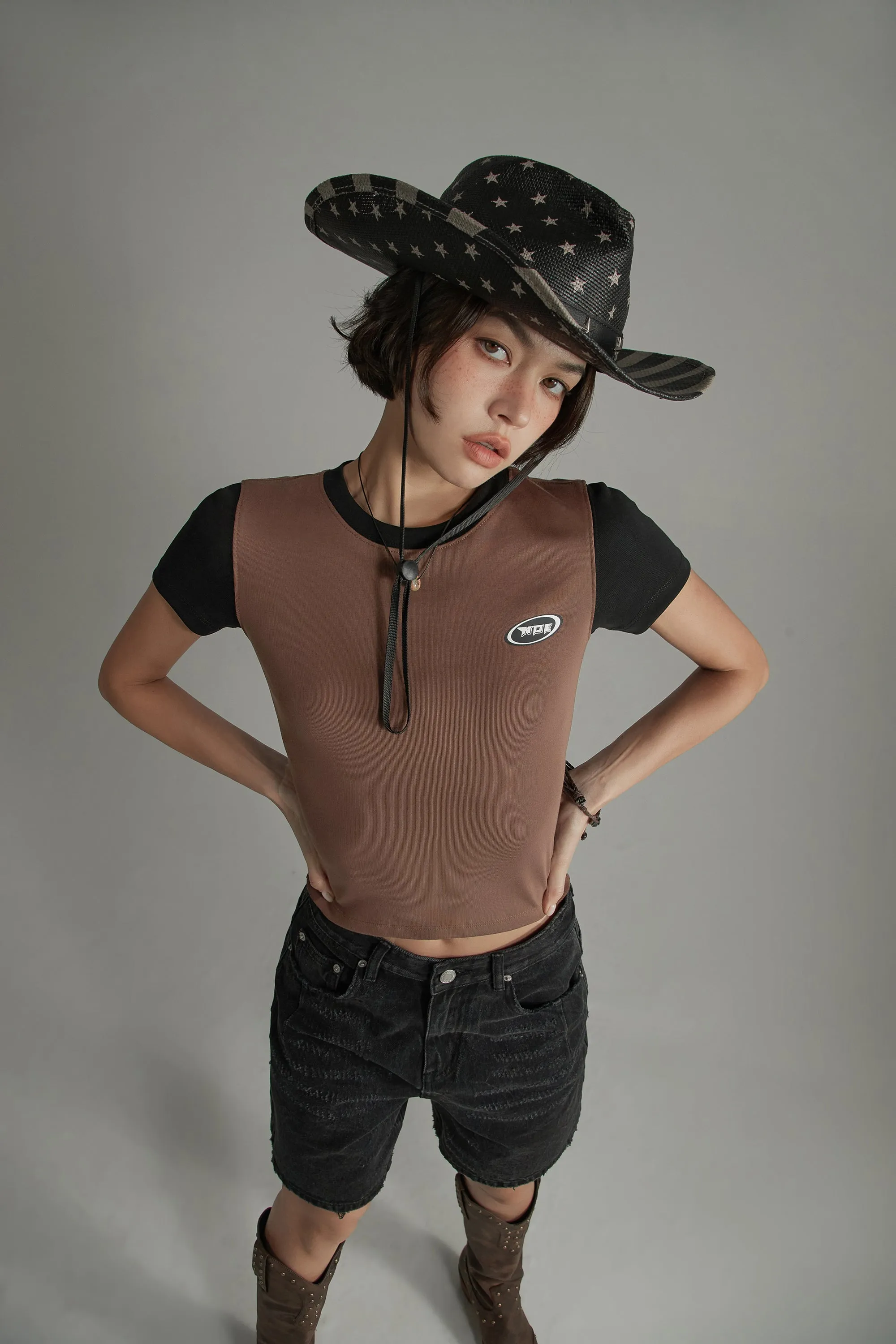 Color Contrast Basic Cropped T-Shirt
