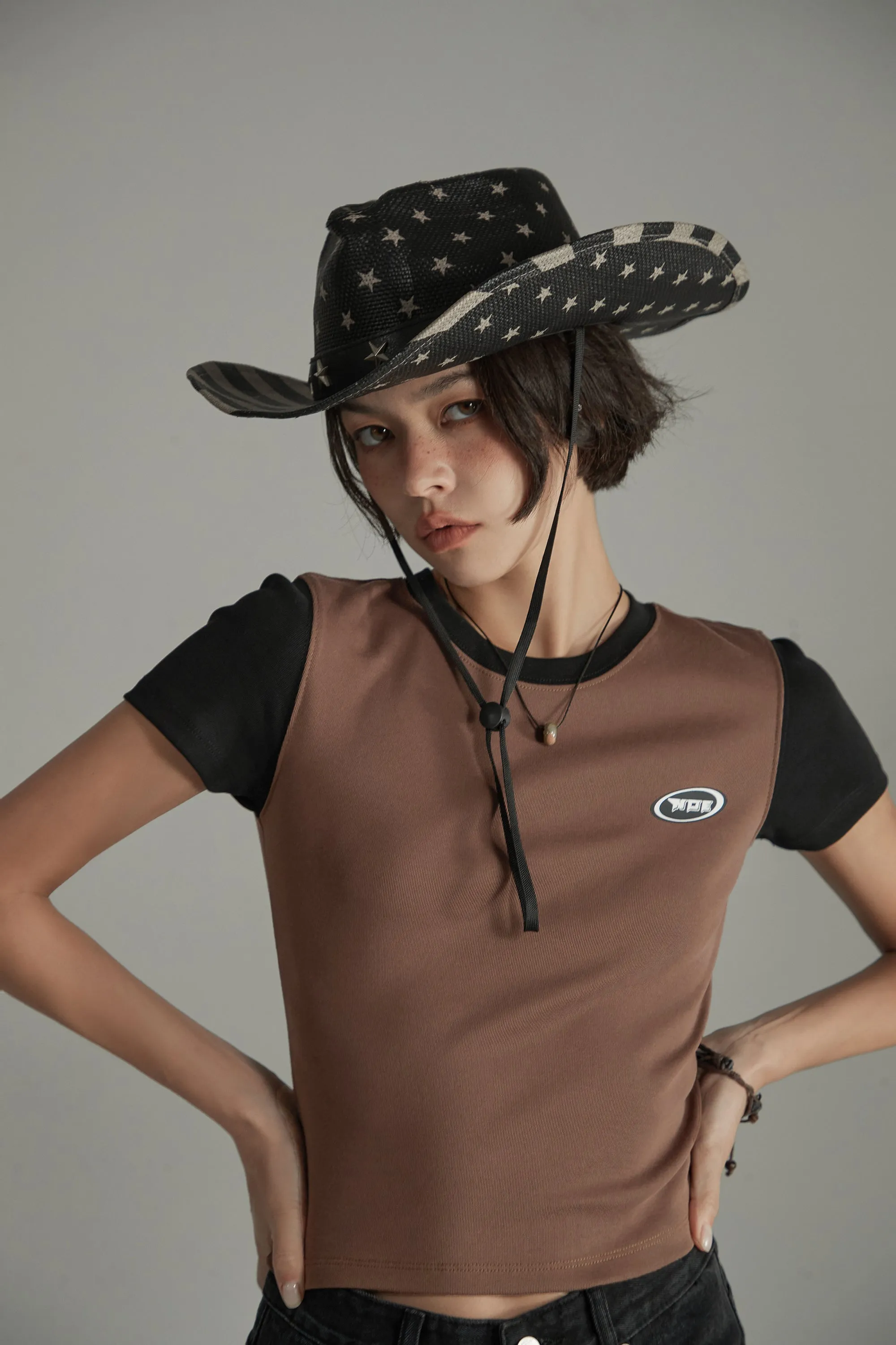 Color Contrast Basic Cropped T-Shirt