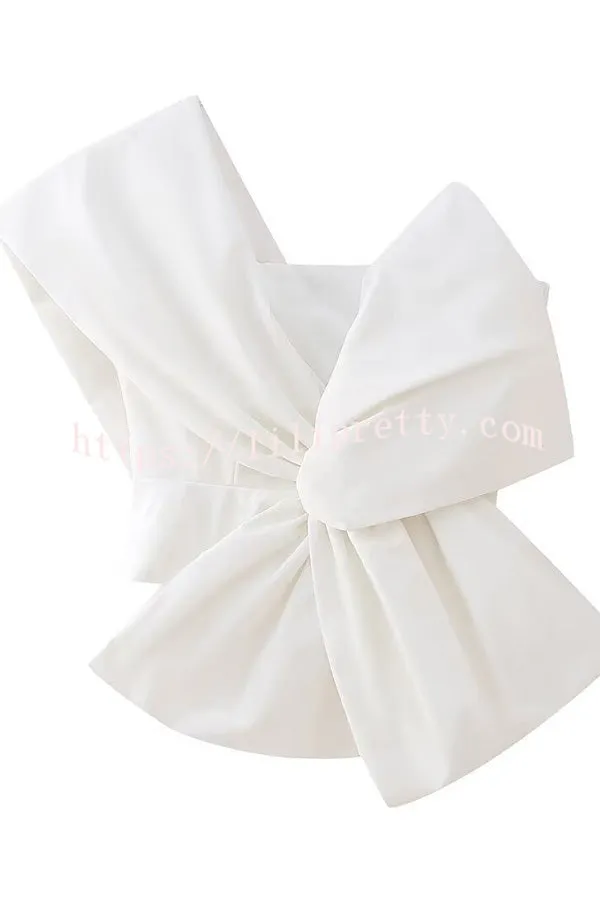 Eye Catching Simple Style Bow Zip Back Top