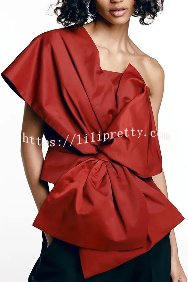 Eye Catching Simple Style Bow Zip Back Top