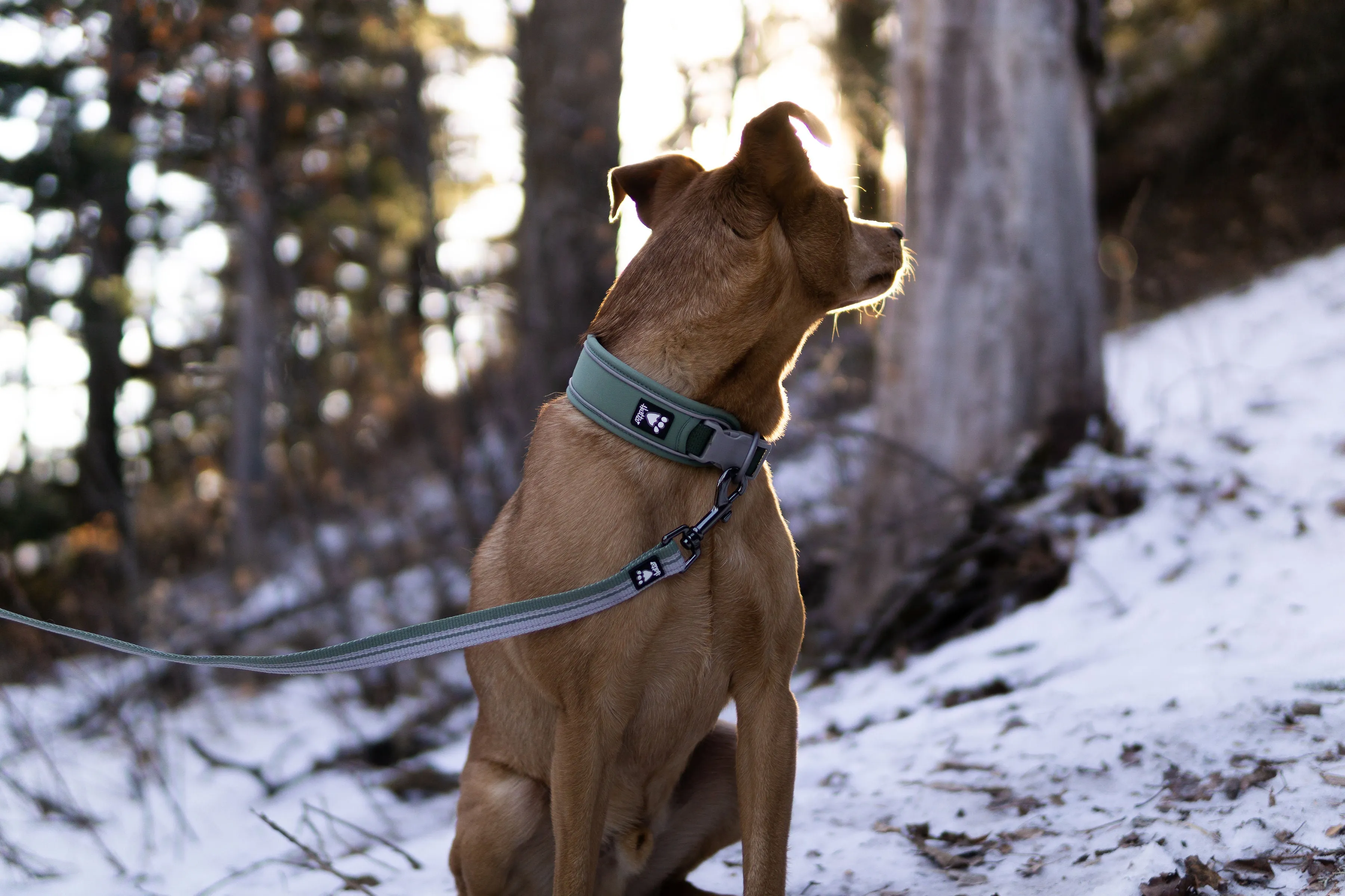 Hurtta Dog Collar: Weekend Warrior Eco, Rosehip