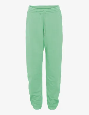 Organic Sweatpants - Seafoam Green