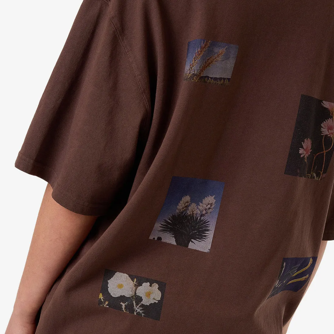 THRILLS Women's Dalia Oversized Tee - Coffee